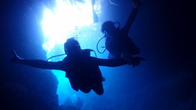 Pinkmermaid潛水價格