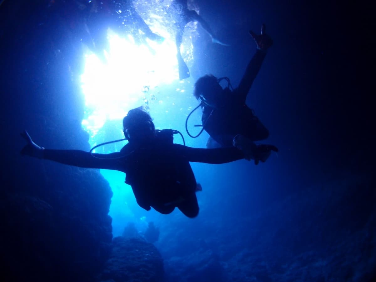 Pinkmermaid潛水價格