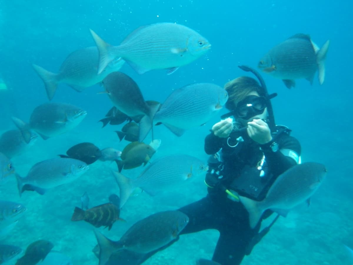 第一次去沖繩潛水必看！