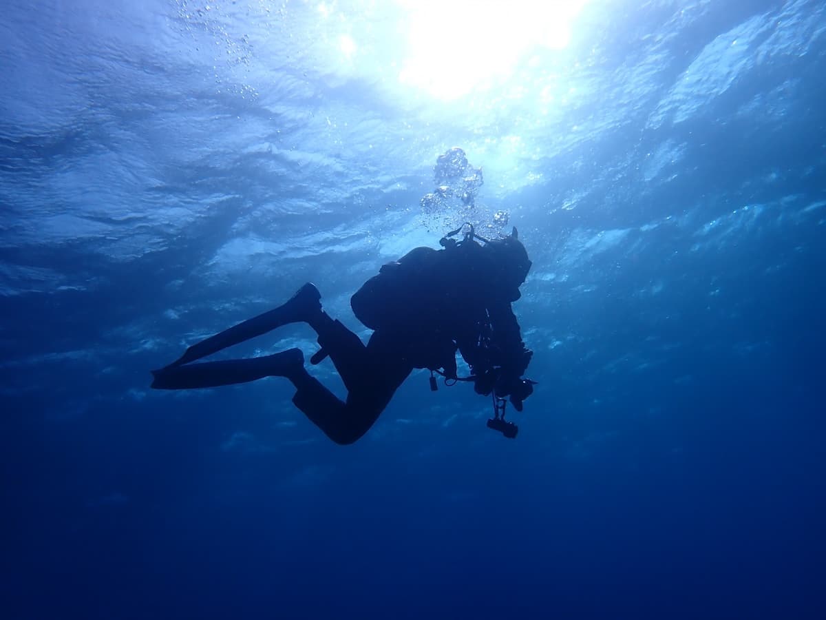 第一次去沖繩潛水必看！