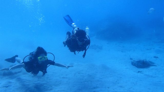 沖繩潛水推薦
